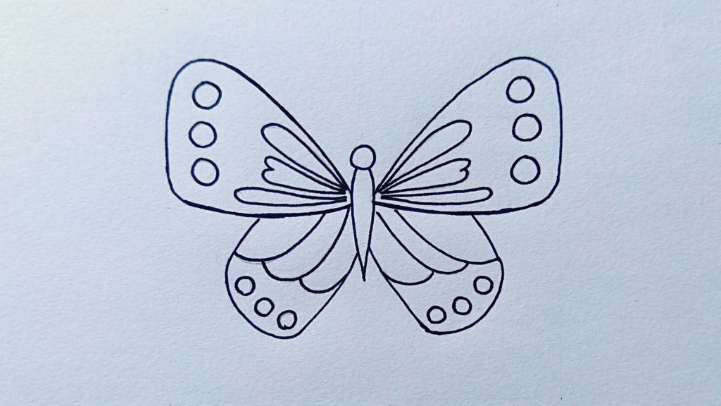 Free Butterfly Designs - News