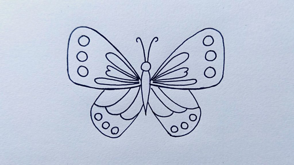 Butterfly to draw Step by step || How to draw a Butterfly easy for Beginners-saigonsouth.com.vn