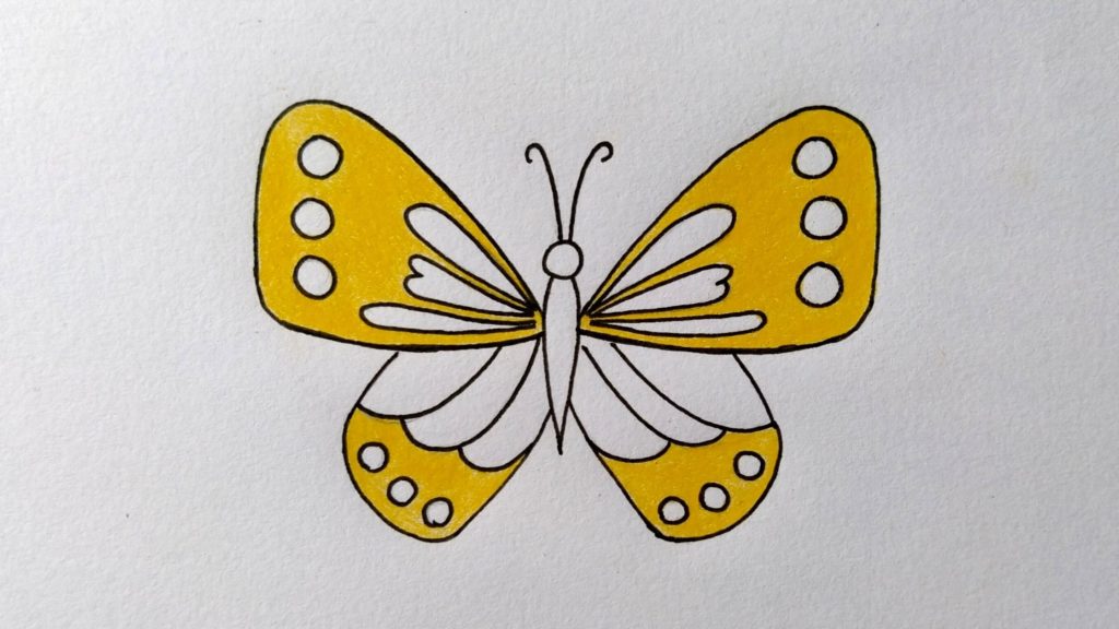 Learn how to draw a Butterfly - Easy drawings for beginners-saigonsouth.com.vn
