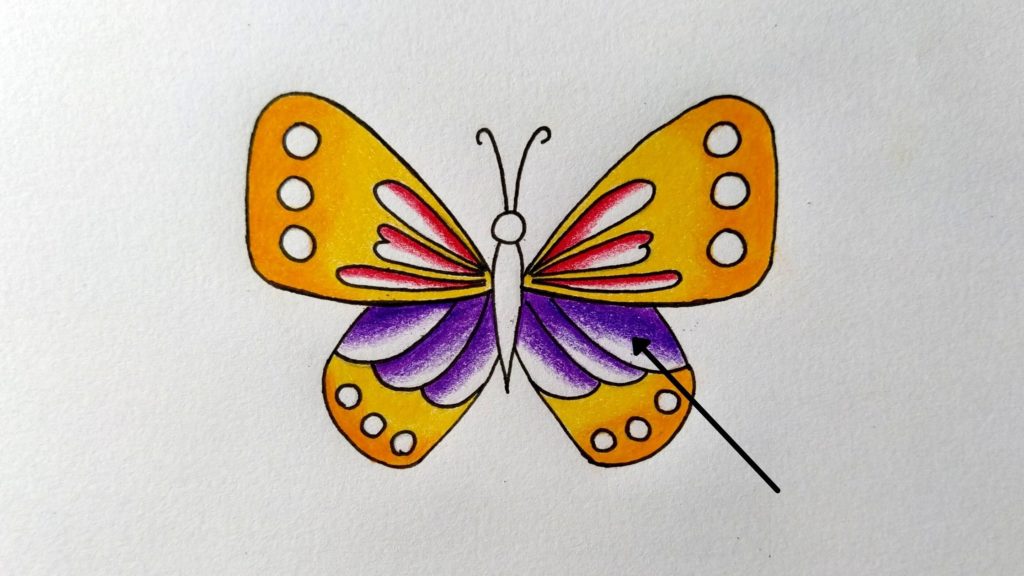 Color Butterfly Drawing Beautiful Image - Drawing Skill