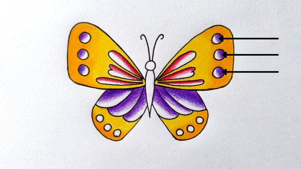 How to draw beautiful butterfly // step by step tutorial // Drawing  butterfly with colour pencil. | Drawings, Drawing tutorial, Beautiful  butterflies