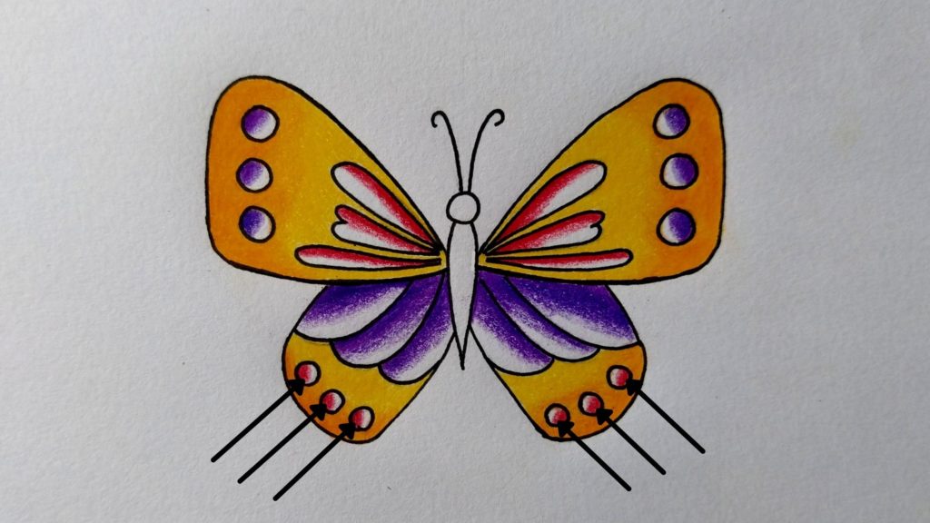 butterfly 🦋 Drawing with pencil colour tutorial - YouTube