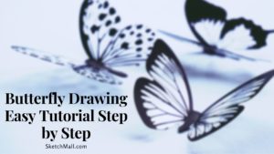 Read more about the article Butterfly Drawing Easy Tutorial Step by Step | Amazing Results