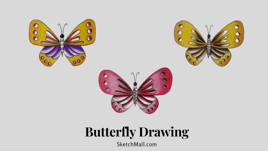 Butterfly Tattoo Design - How to Draw a Butterfly - Drawing Tutorial step  by step - YouTube